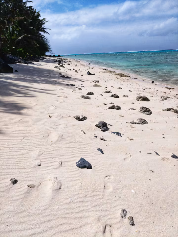 Tavake Beachfront Bungalow - Image 2