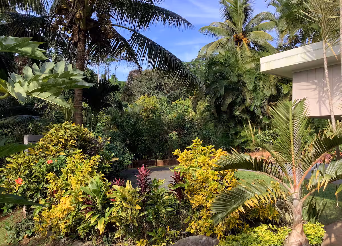 Teiana's Retreat - Image 23